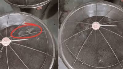 Rat Swimming Inside Maharashtra Gulab Jamun Container, Food Hygiene Standards Questioned