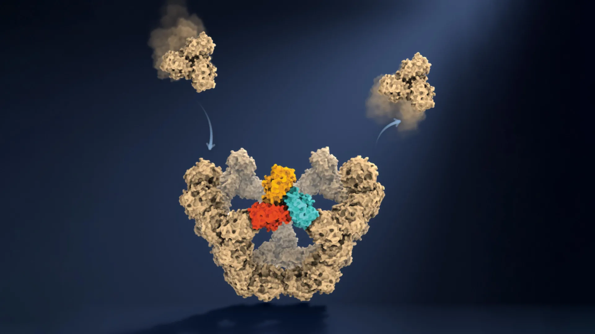 Oxford Researchers Capture Real-Time Assembly of Virus-Like Particles