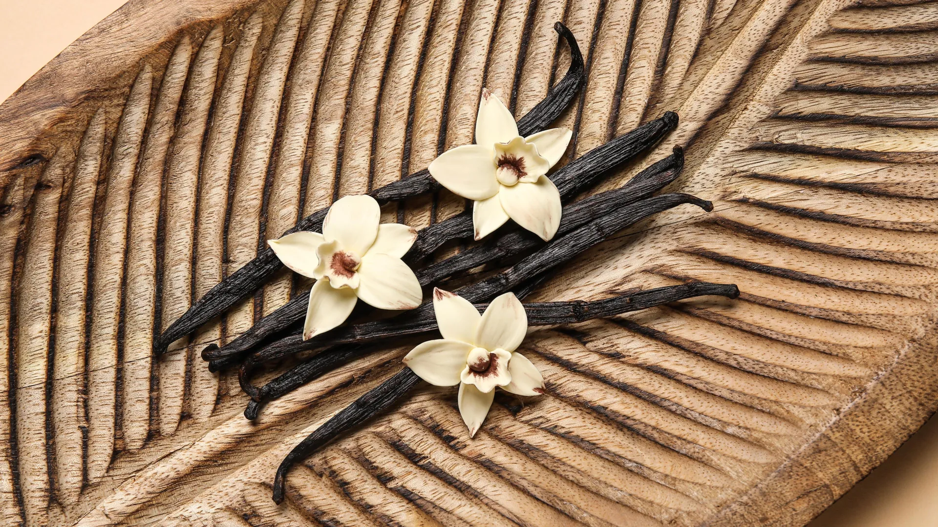 Sweet Medicine: How Vanilla Could Transform Wound Care