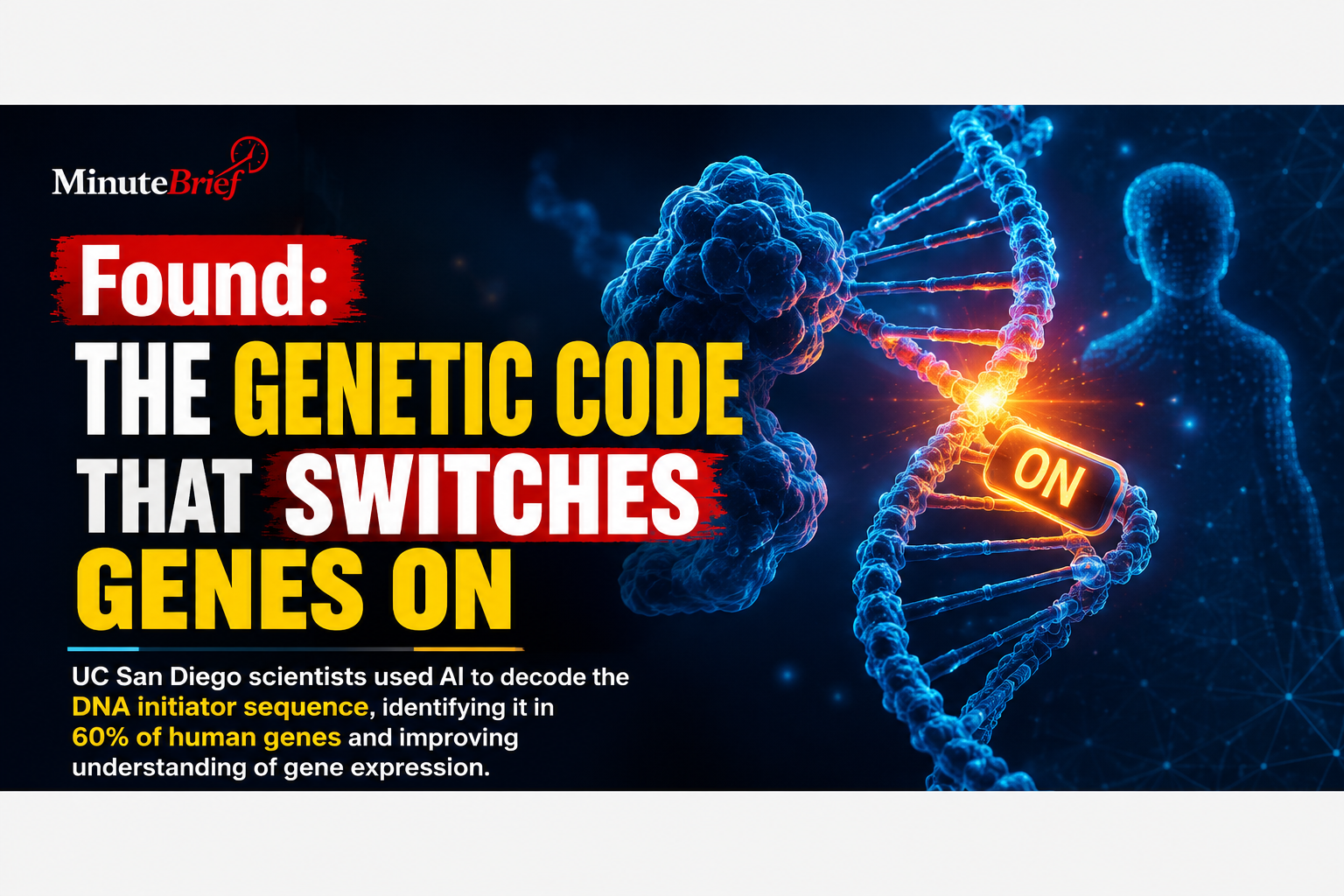 Found: The Genetic Code That Switches Genes On