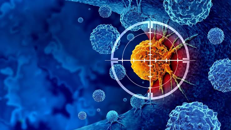 New Study: Simple Supplement Could Boost Immune System, Combat Againts Cancer and Viruses