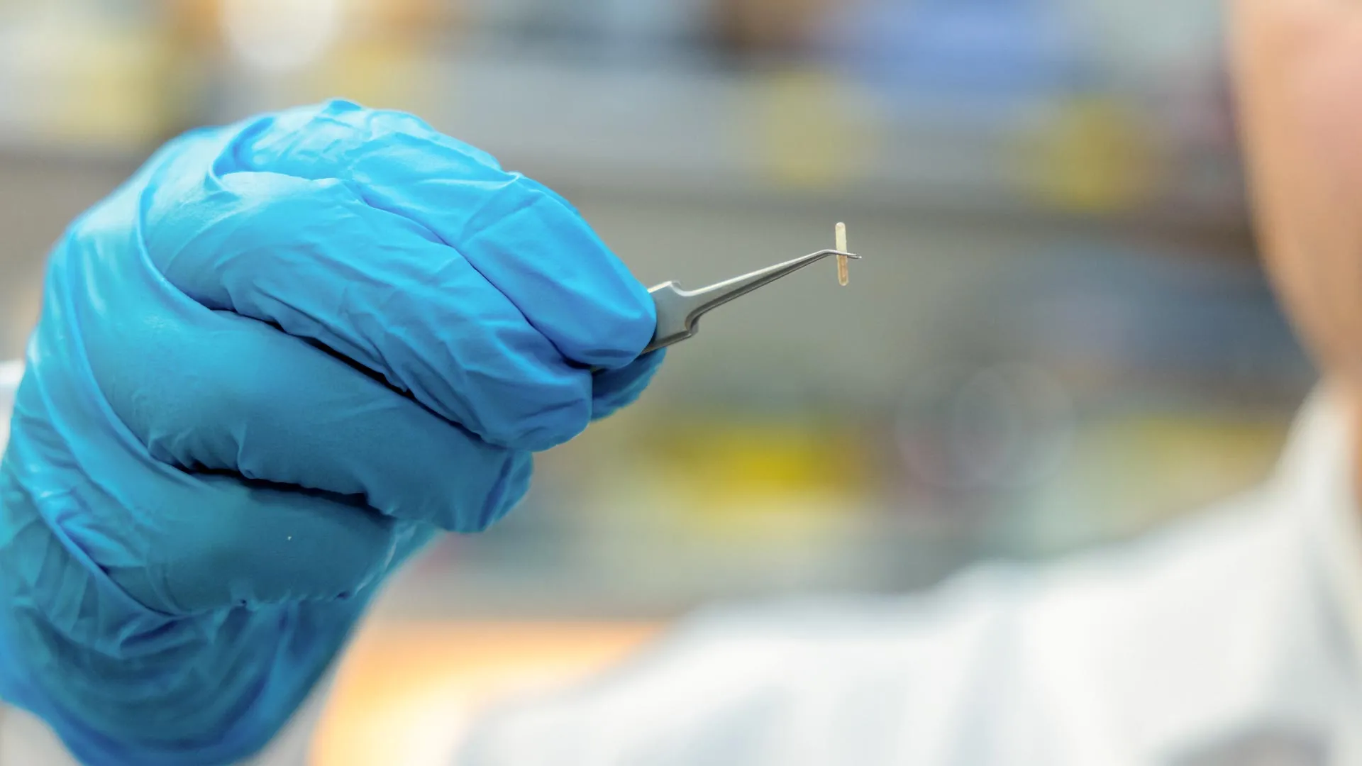 Seed-Sized Breakthrough: New Injectable Device Controls Nerves Without Surgery or Batteries