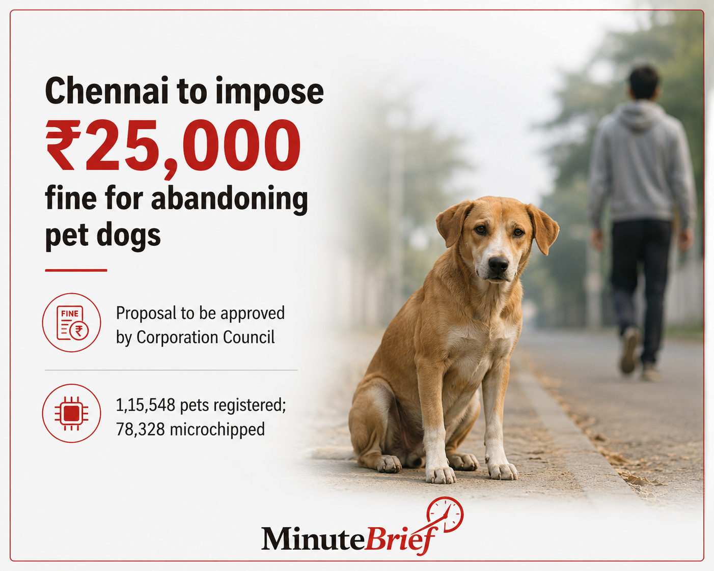 Chennai Corporation moves to penalize pet dog abandonment with ₹25,000 fine