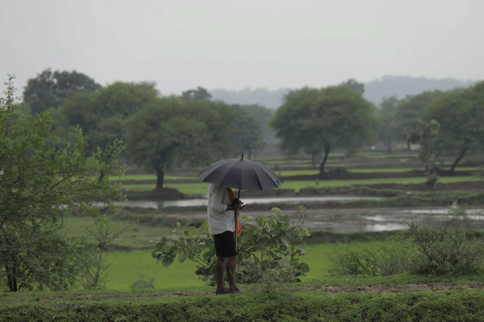IMD Warns of Heavy Rain, Thunderstorms Across Assam for Next 3–4 Days