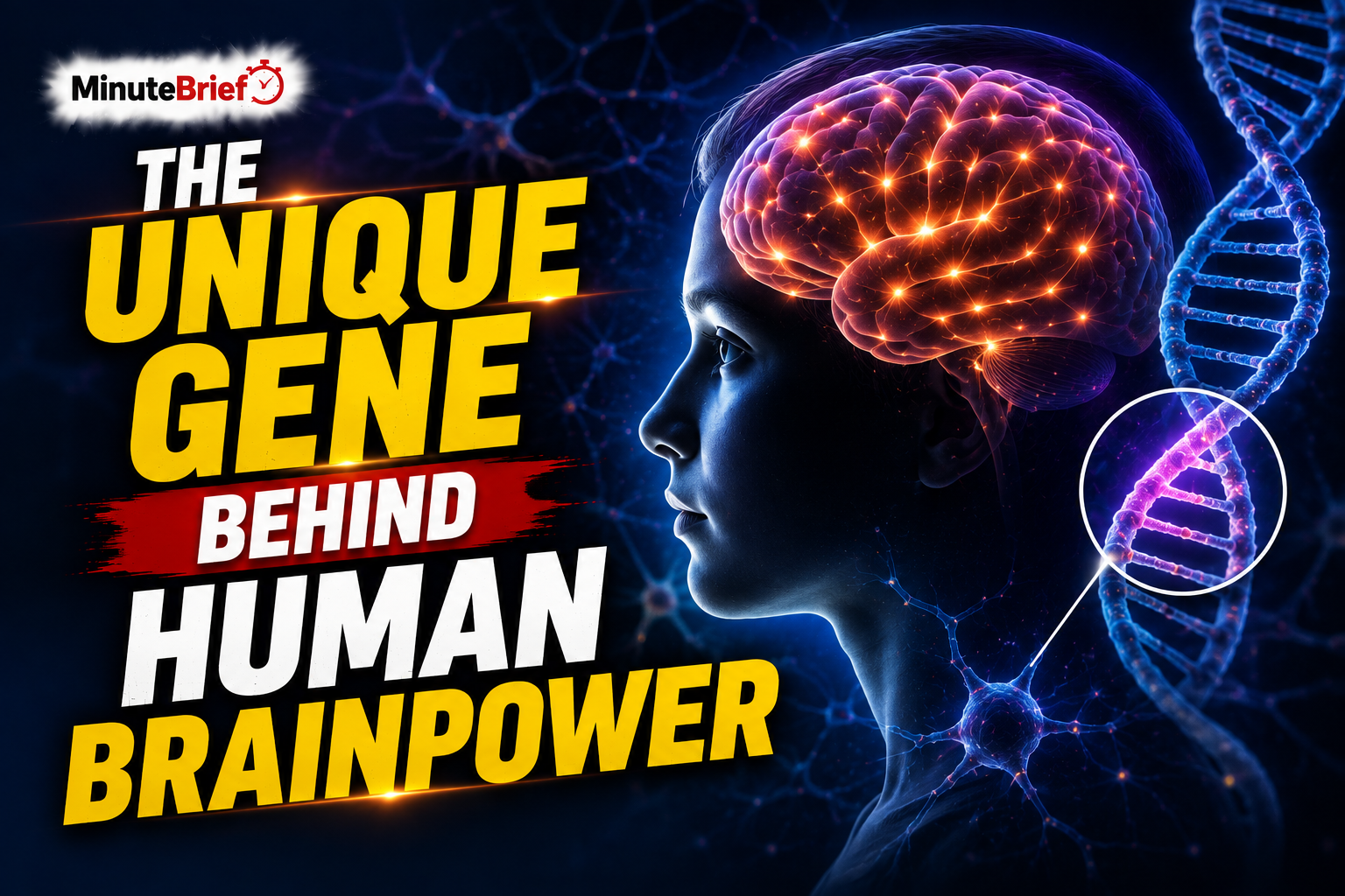 The Unique Gene Behind Human Brainpower