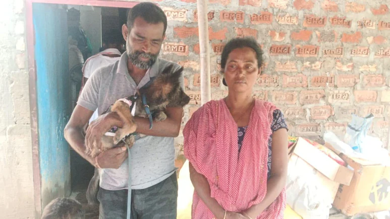 Boy Drowns Saving Puppy Amid Assam Floods