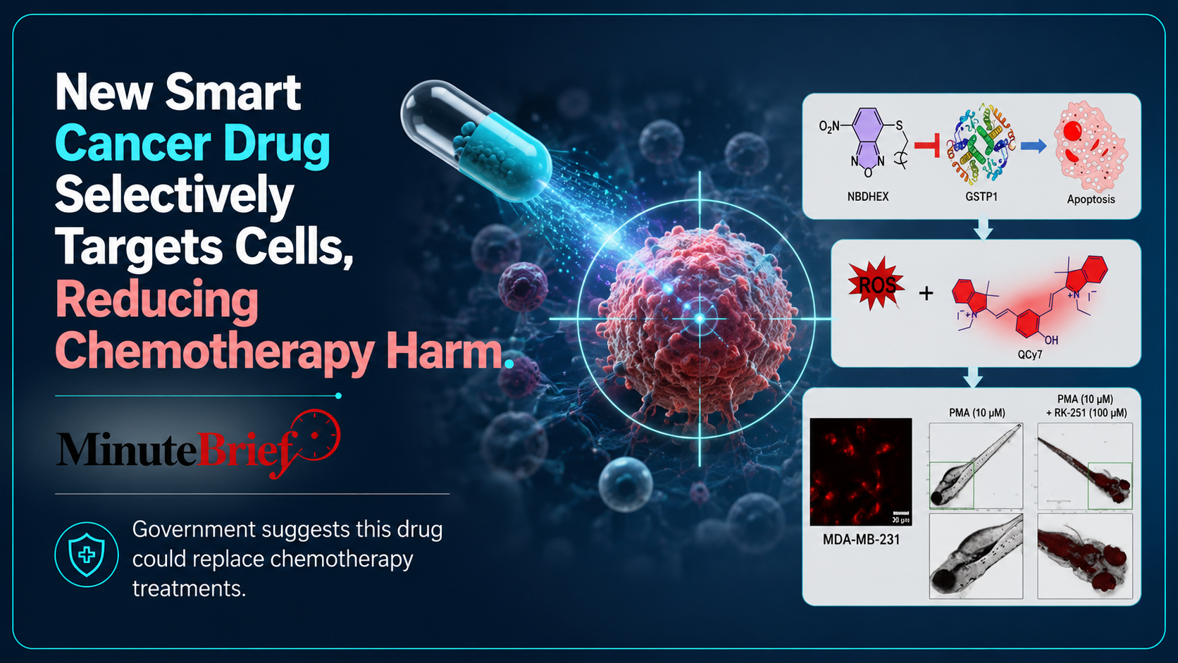 New Smart Cancer Drug Selectively Targets Cells, Reducing Chemotherapy Harm