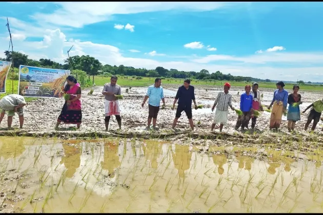 Saving Assam’s Native Seeds: The Launch of 'Ankurita Asom'