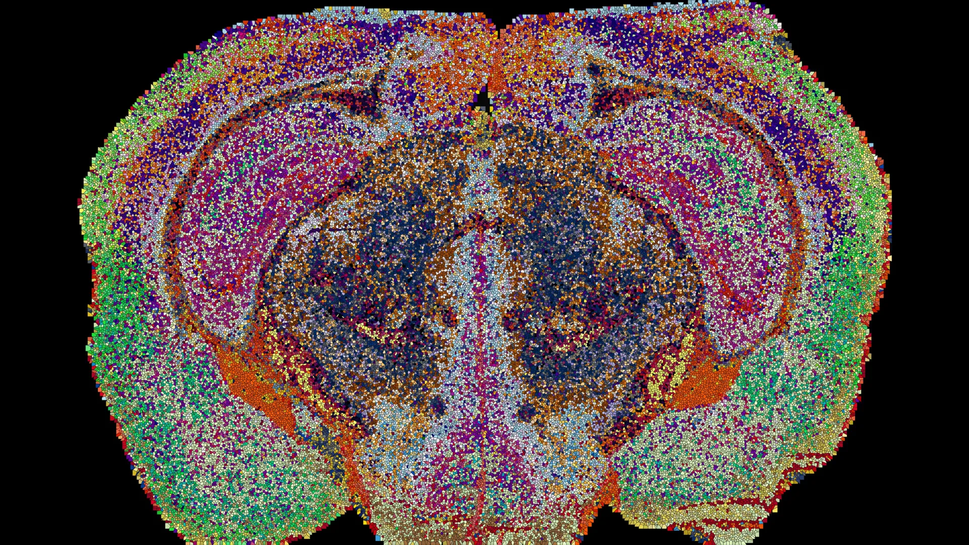 A Hidden Map of the Mind: Scientists Uncover 539 Distinct Chemical Zones in the Brain