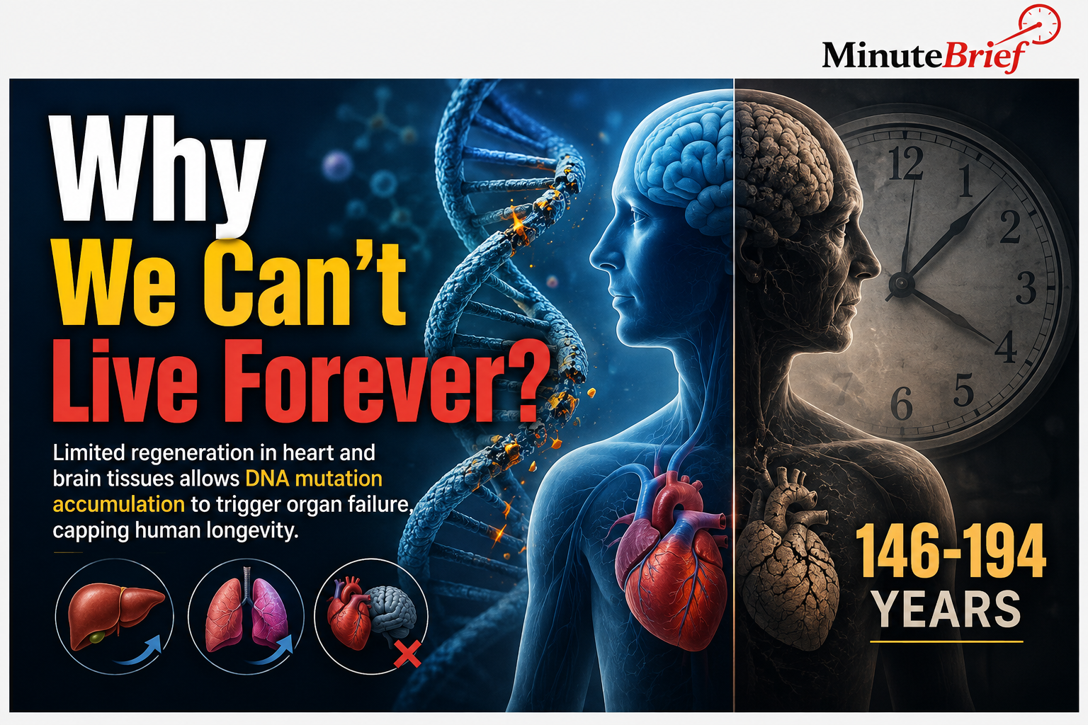 Why We Can’t Live Forever?