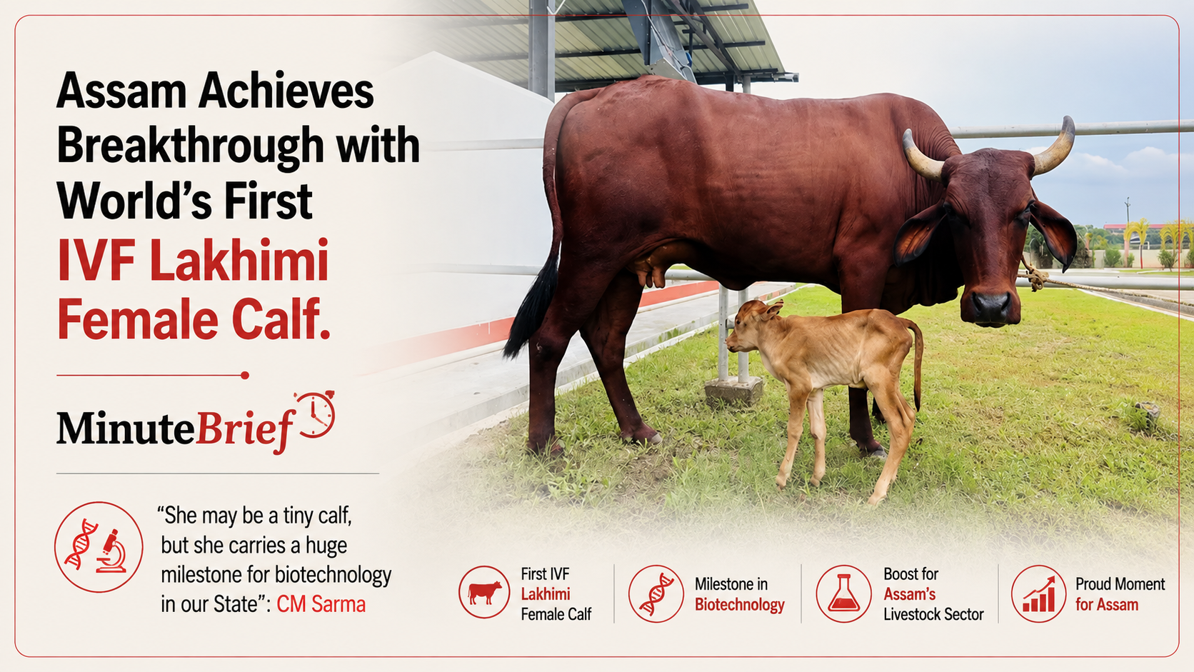 Assam Achieves Breakthrough with World's First IVF Lakhimi Female Calf