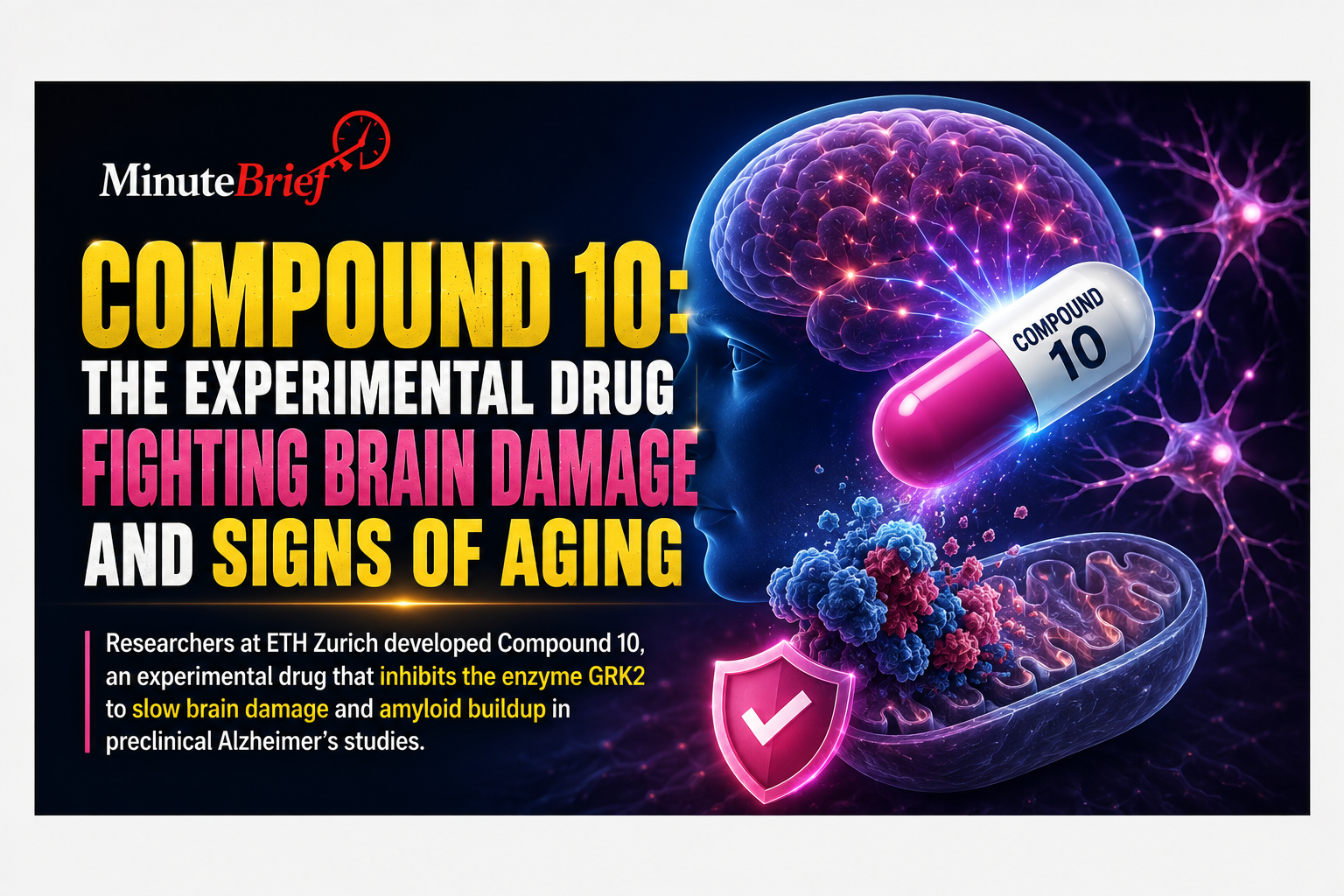 Compound 10: The Experimental Drug Fighting Brain Damage and Signs of Aging
