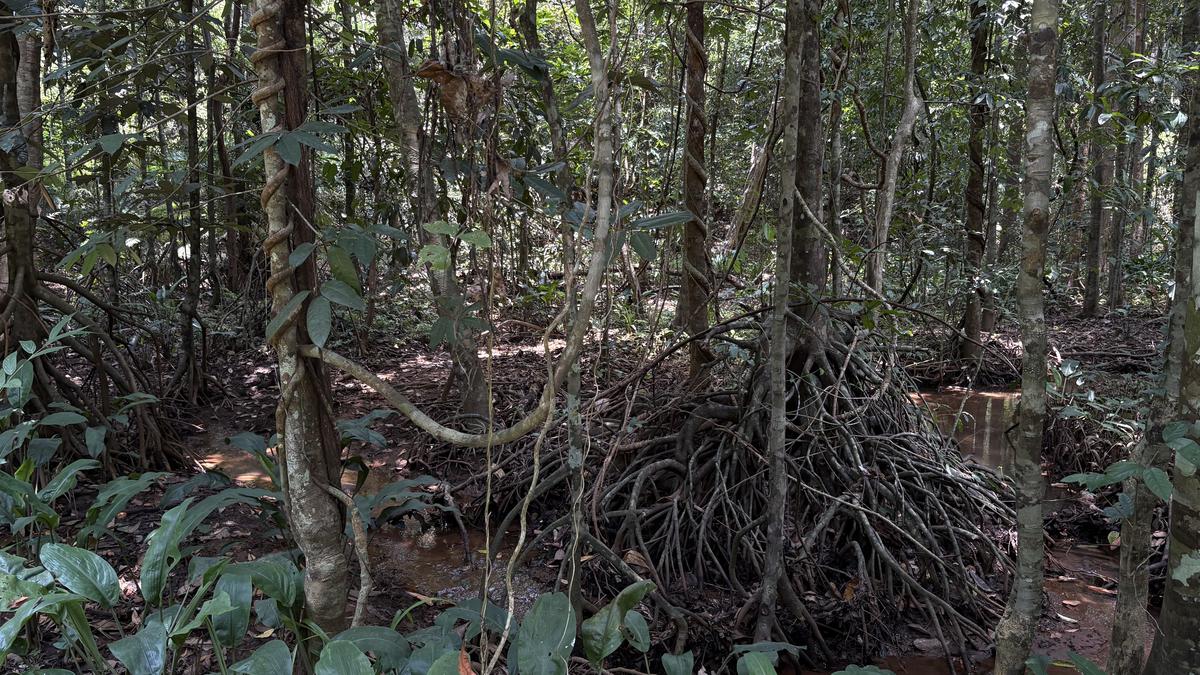 India’s First Ecosystem Red List Assessment Initiated by Kerala Board