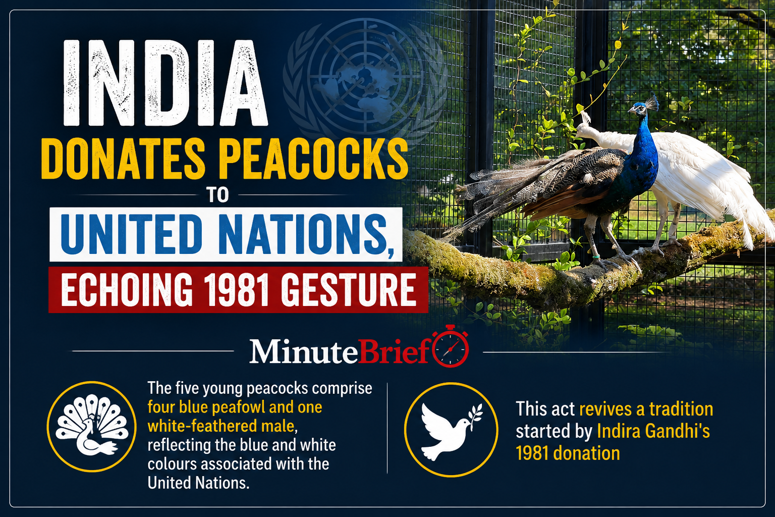 India donates peacocks to United Nations, echoing 1981 gesture