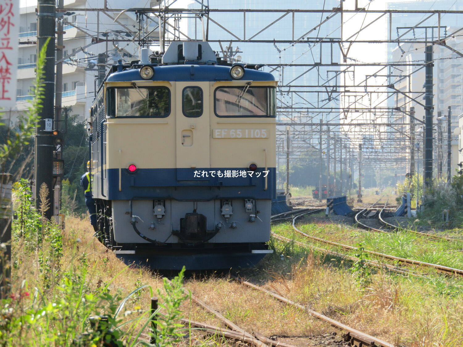 線 撮影 貨物 地 東海道