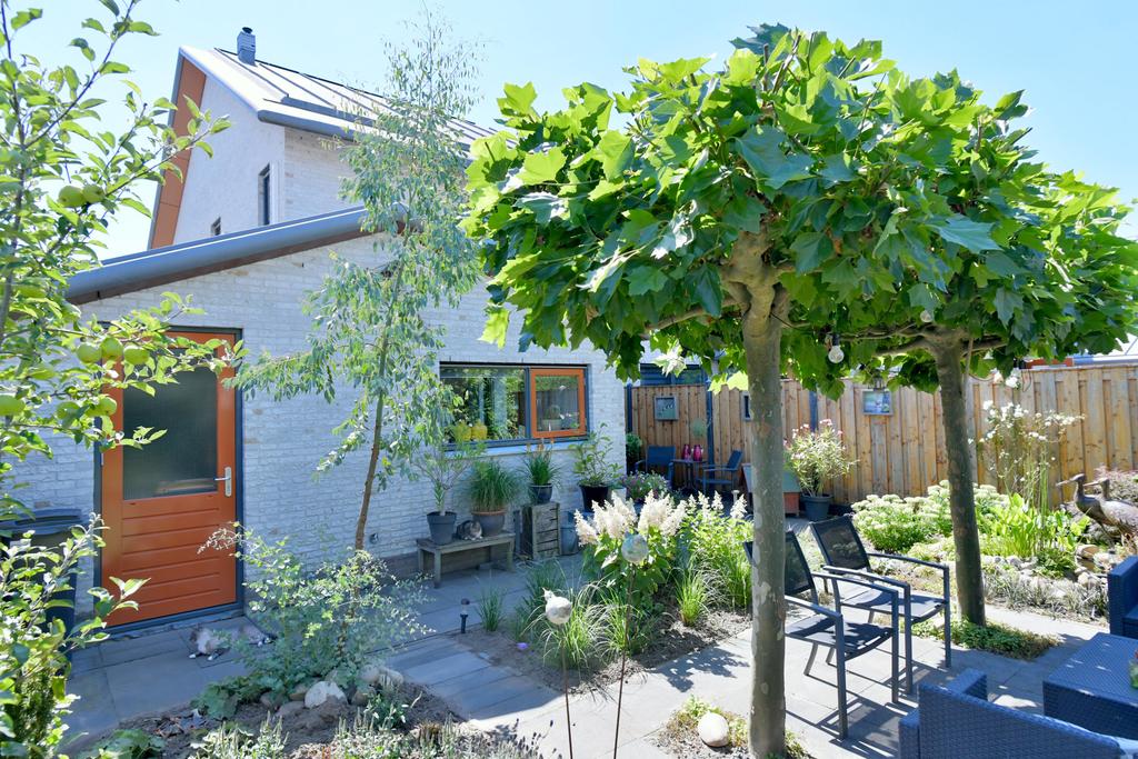 129287218.jpg