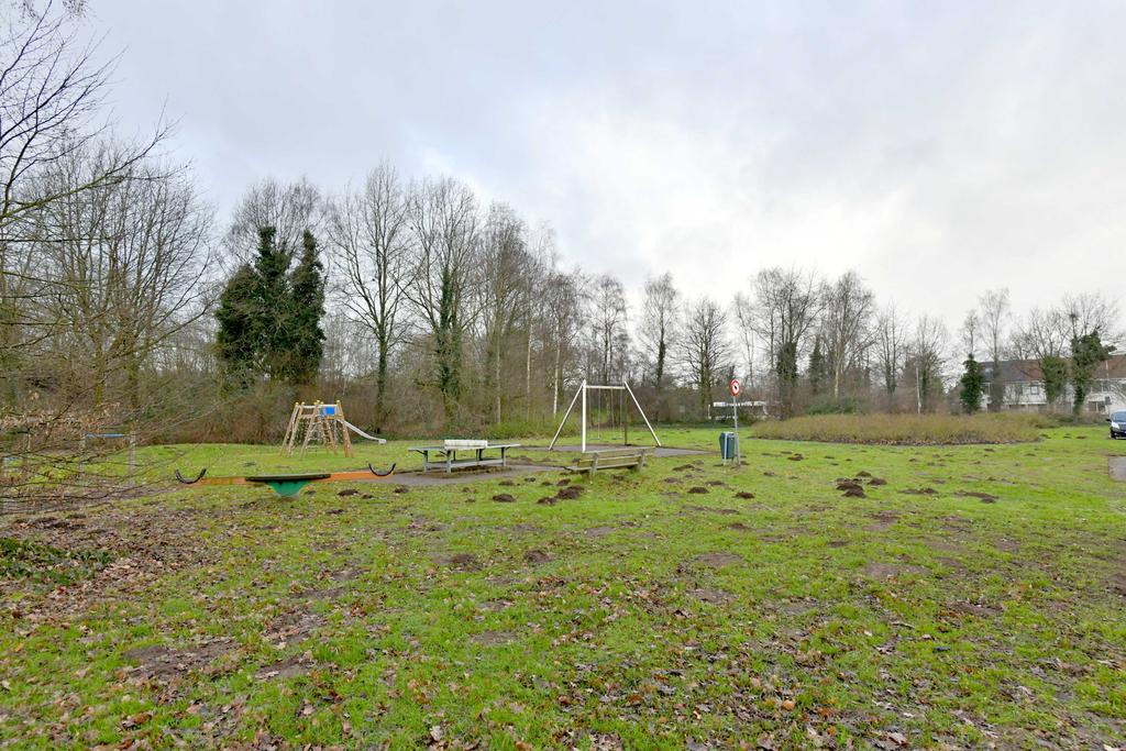137045039.jpg
