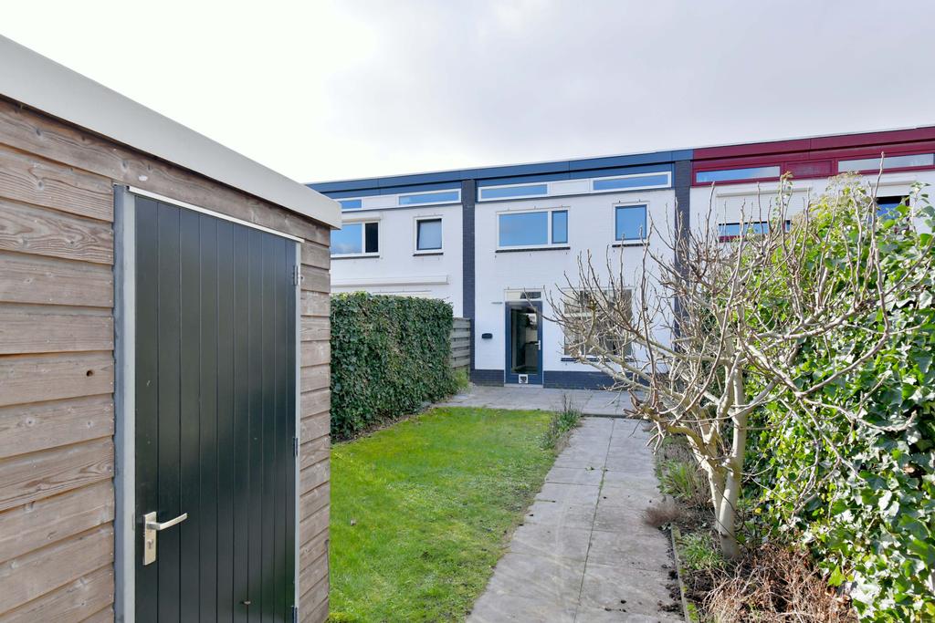 137377888.jpg