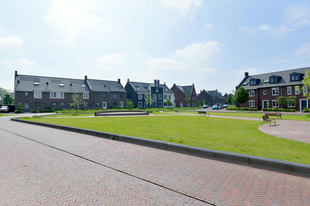 142033245.jpg