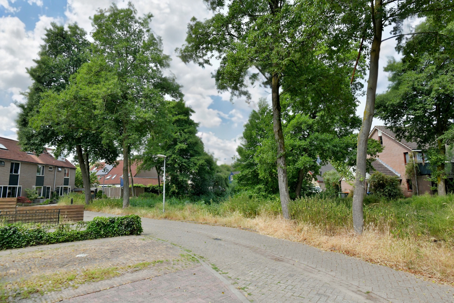 146454621.jpg