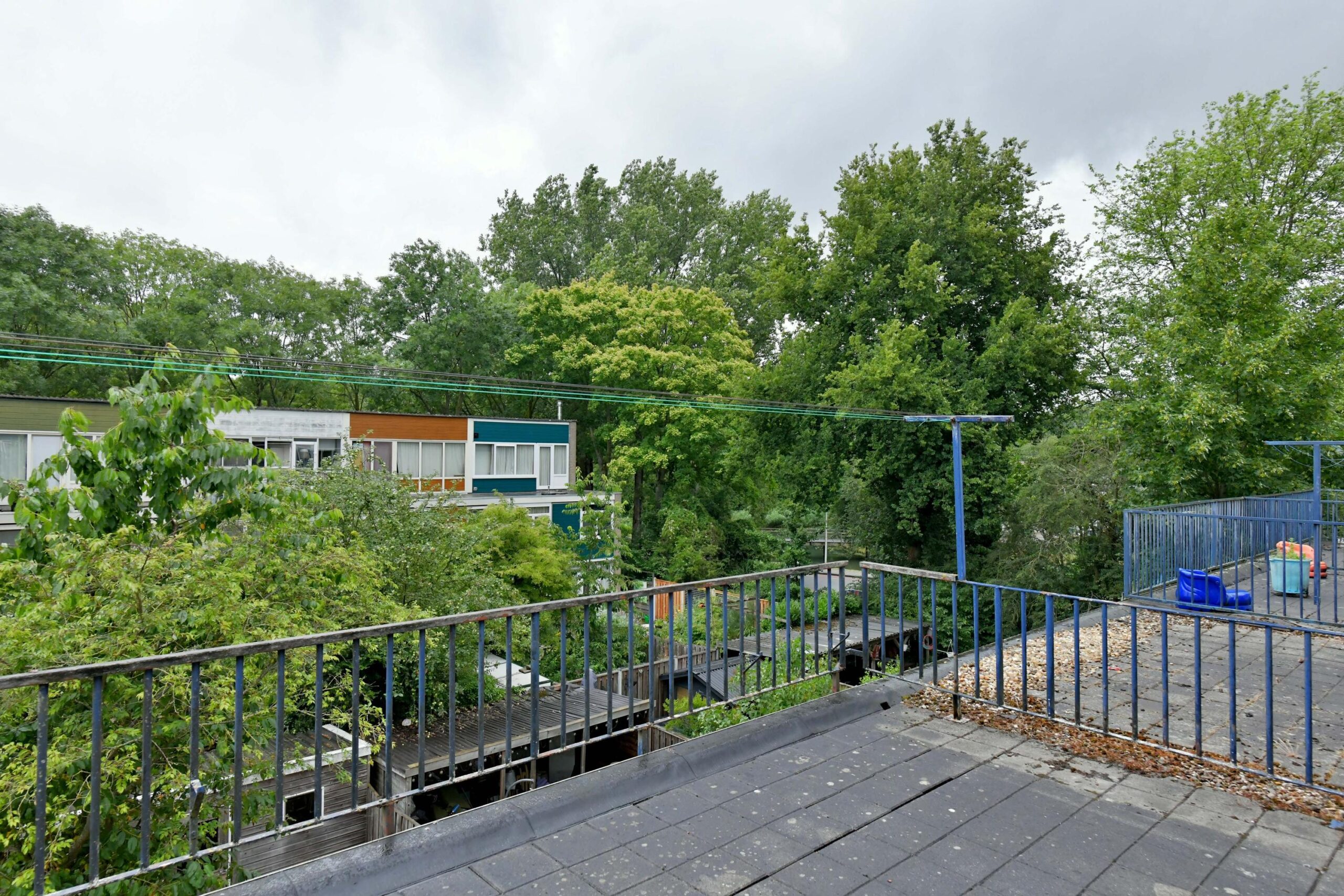 147541979.jpg