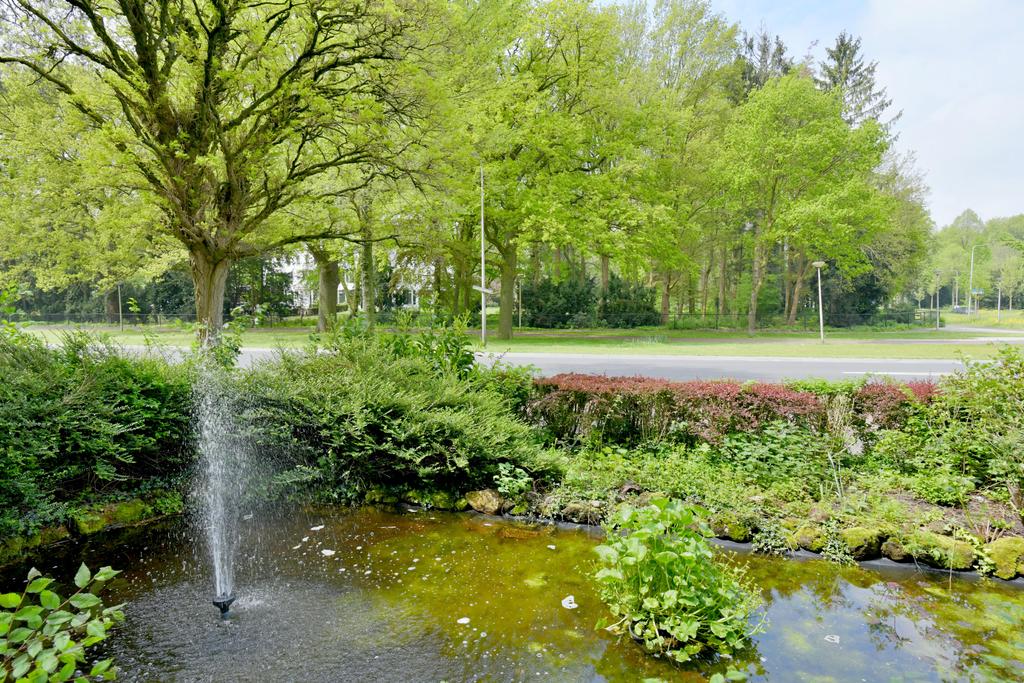 150452805.jpg