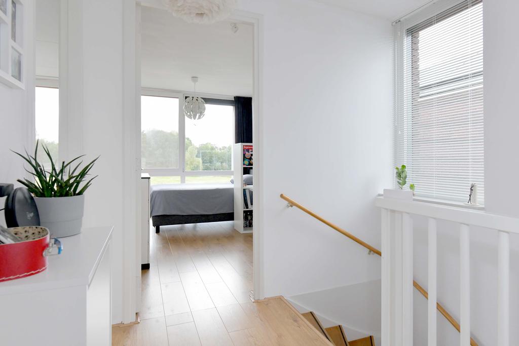 158356835.jpg