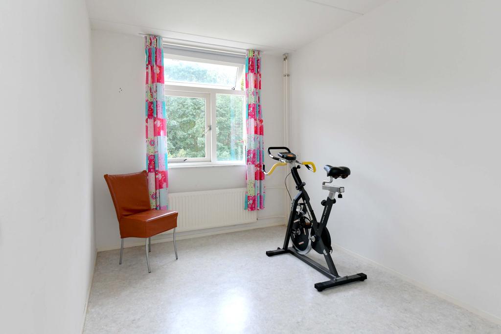 159483193.jpg