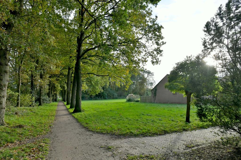 161765503.jpg