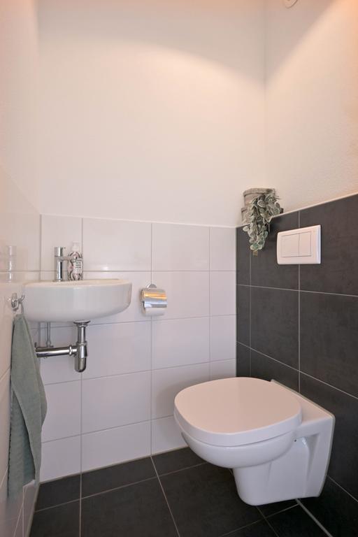 172837053.jpg