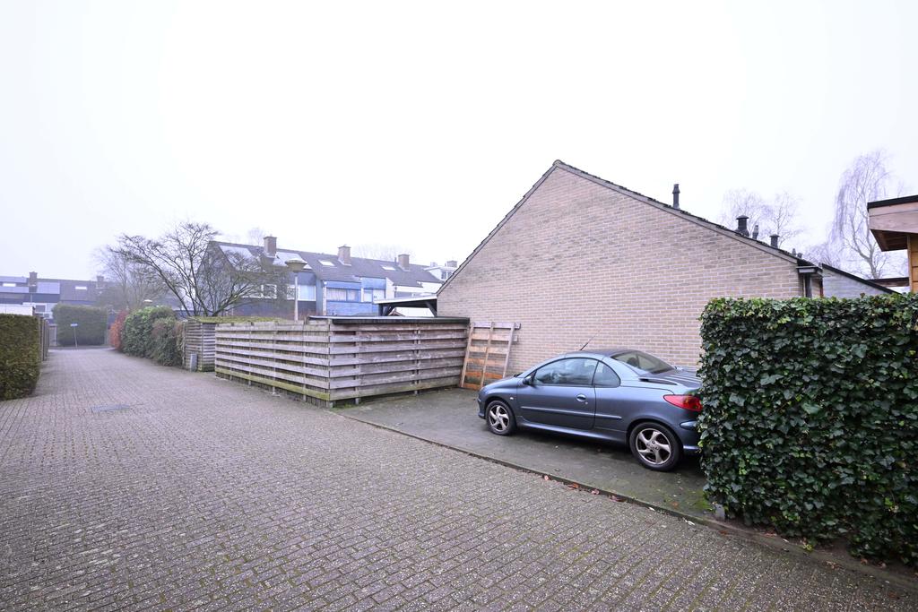 214405981.jpg