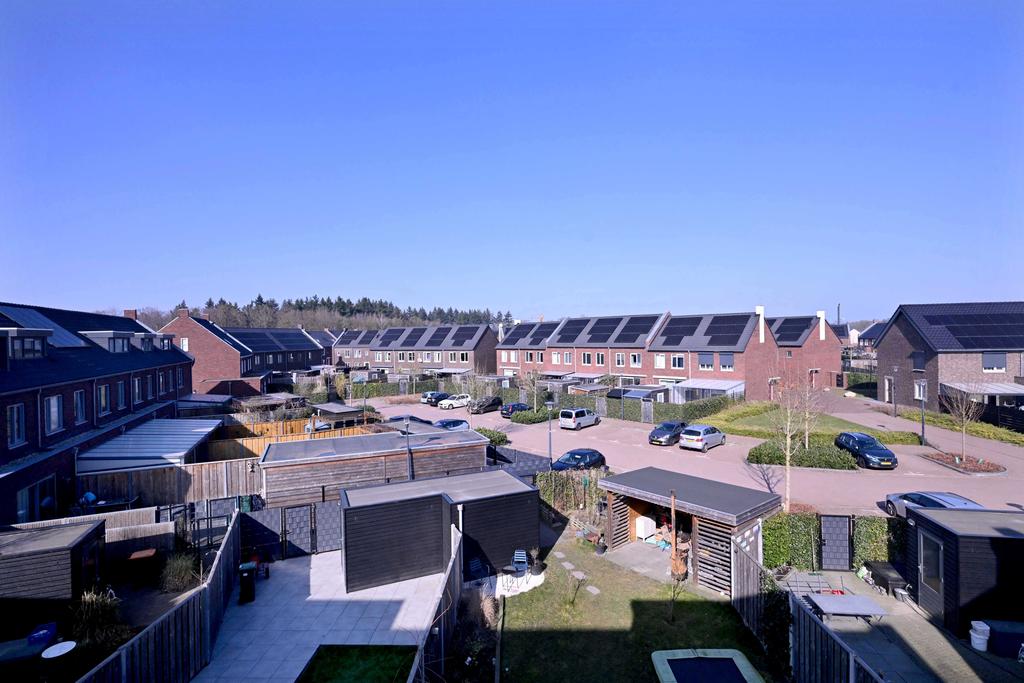 219978795.jpg