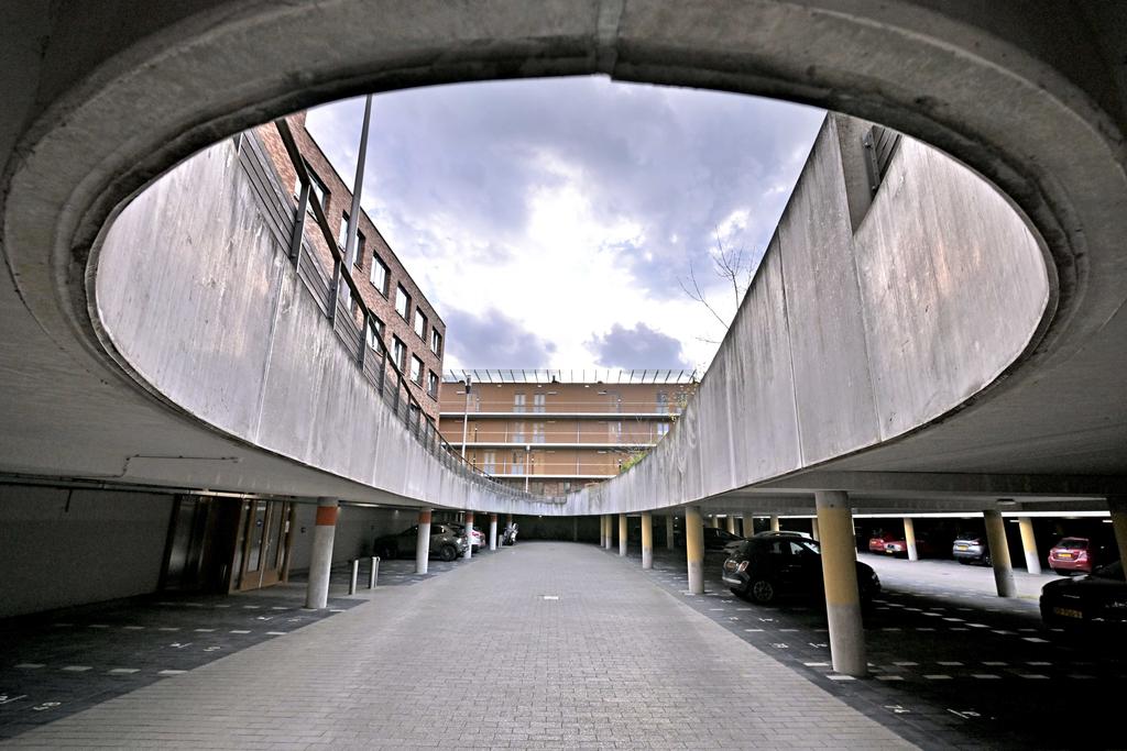225430272.jpg
