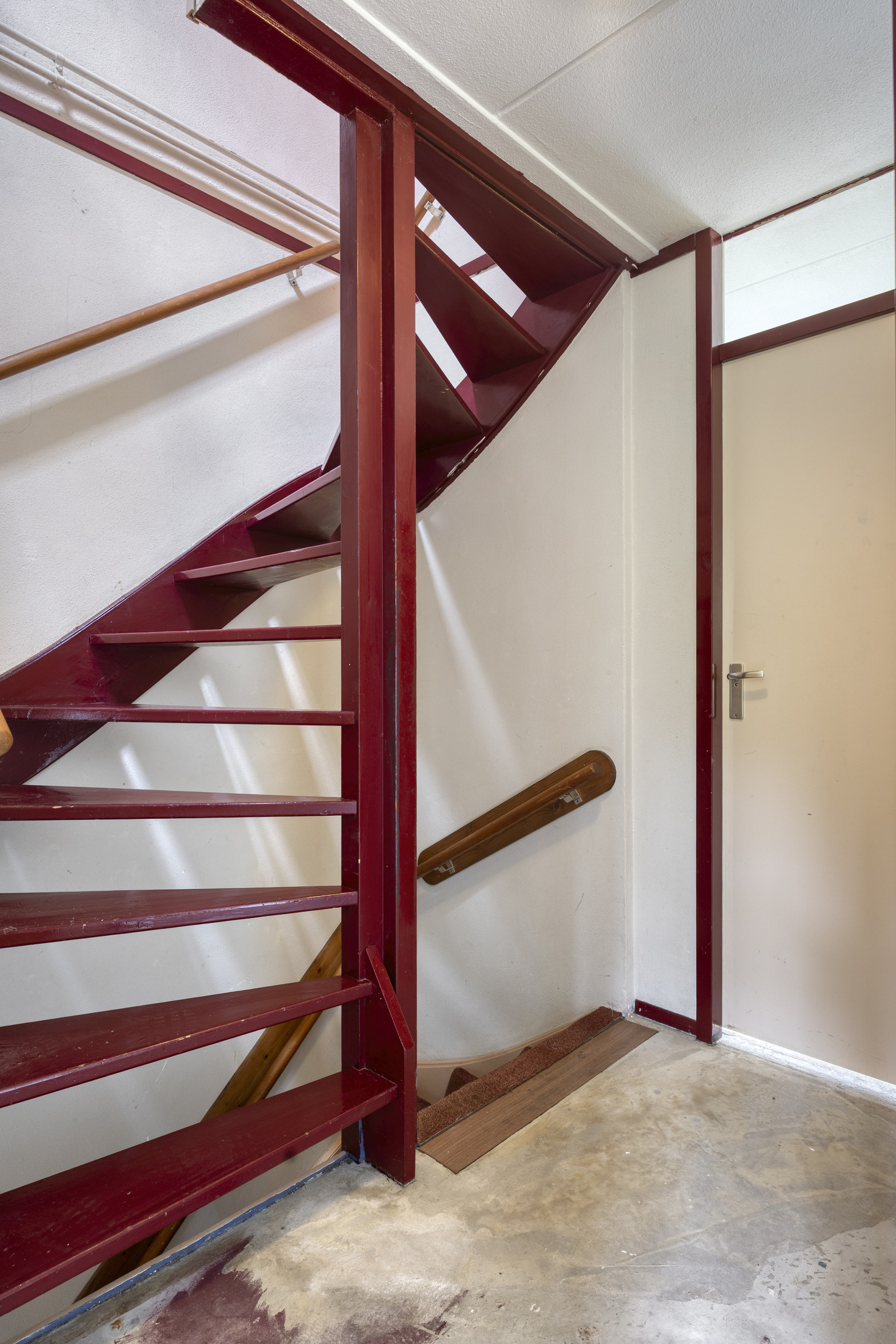 233436886.jpg