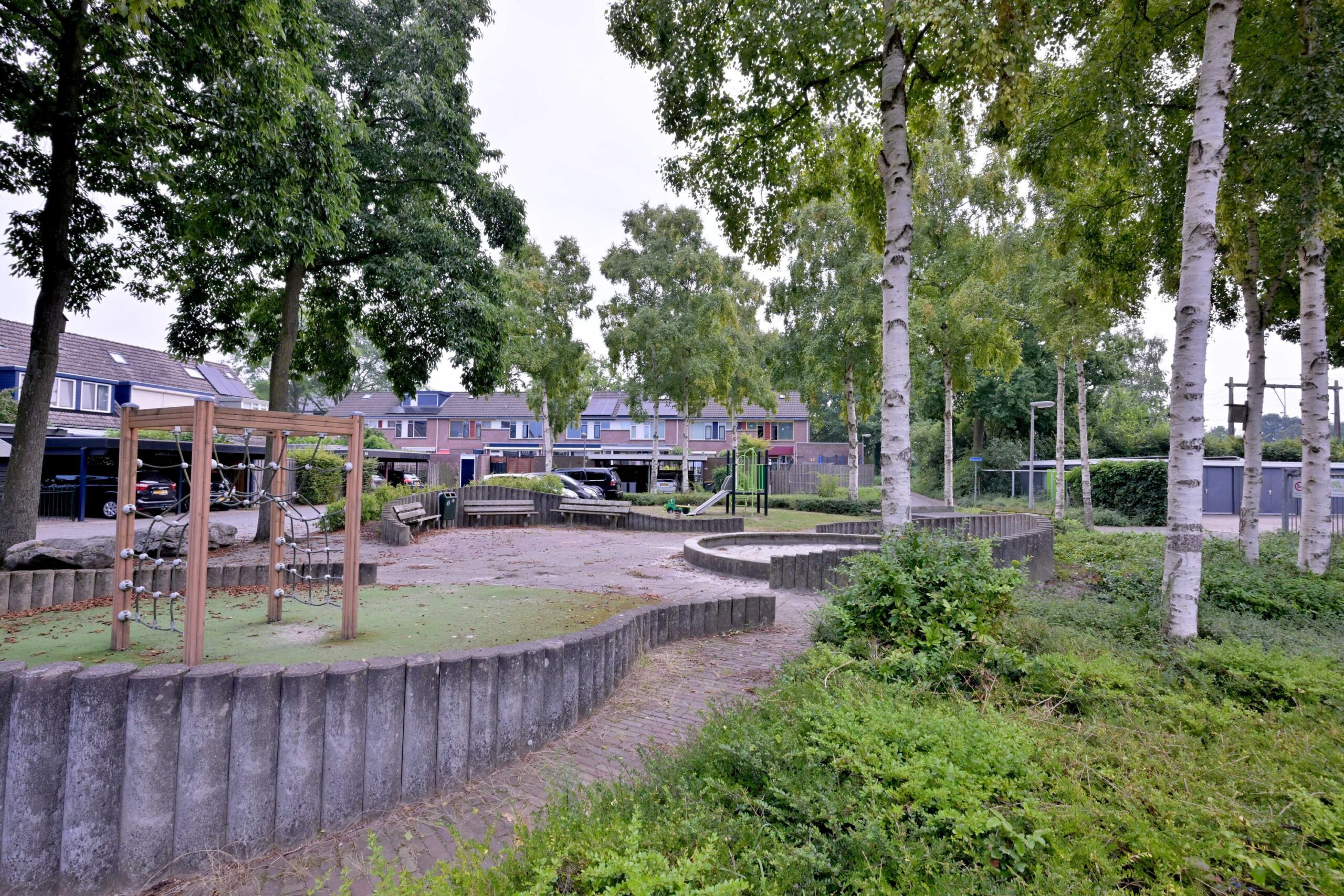 241521362.jpg