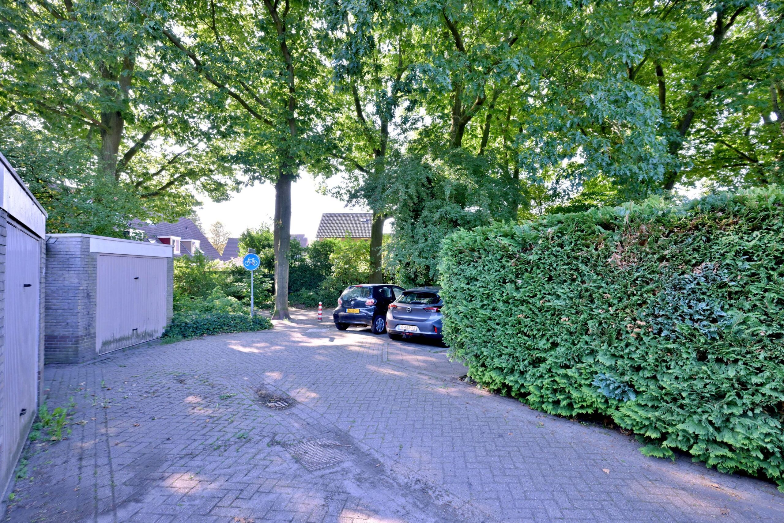241676536.jpg