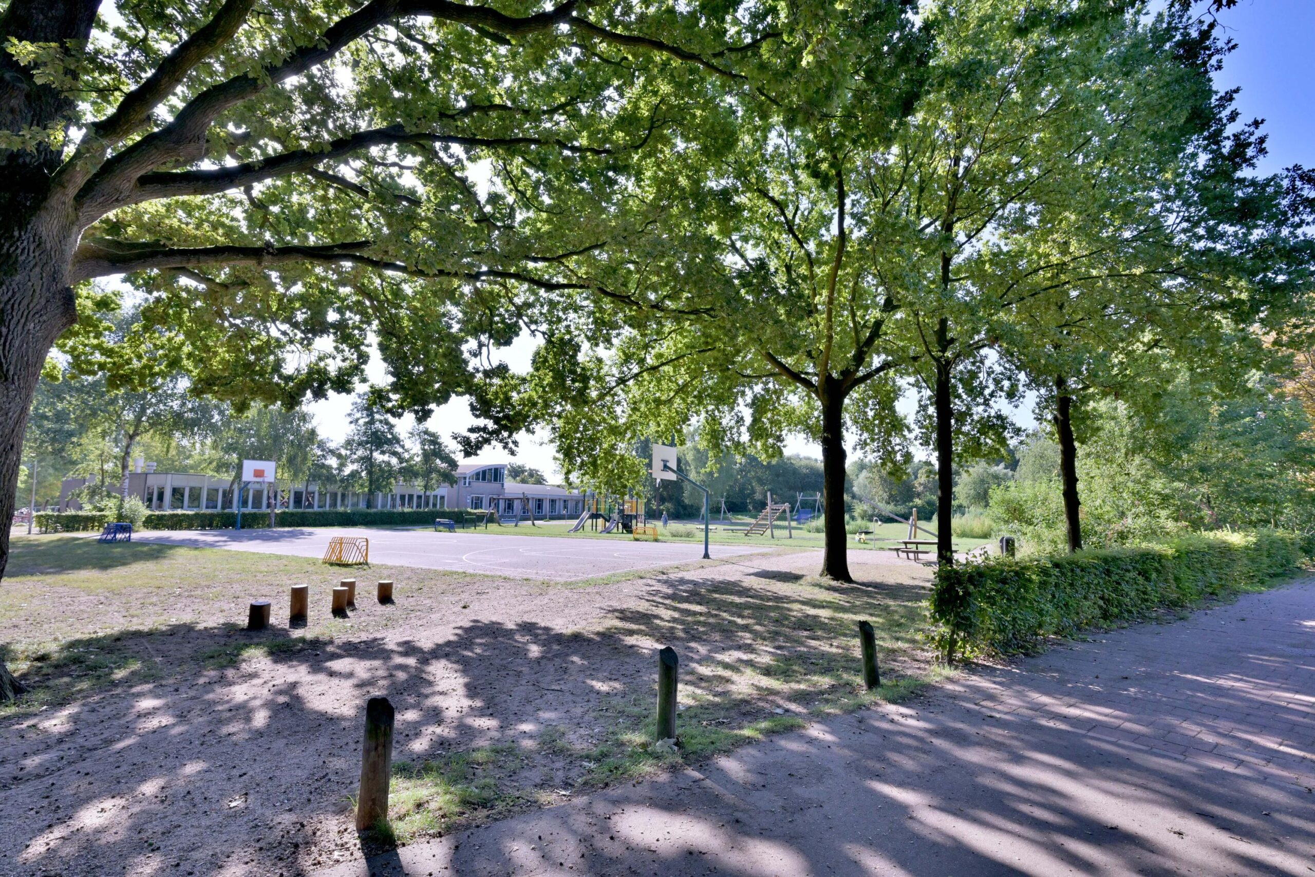 241676614.jpg