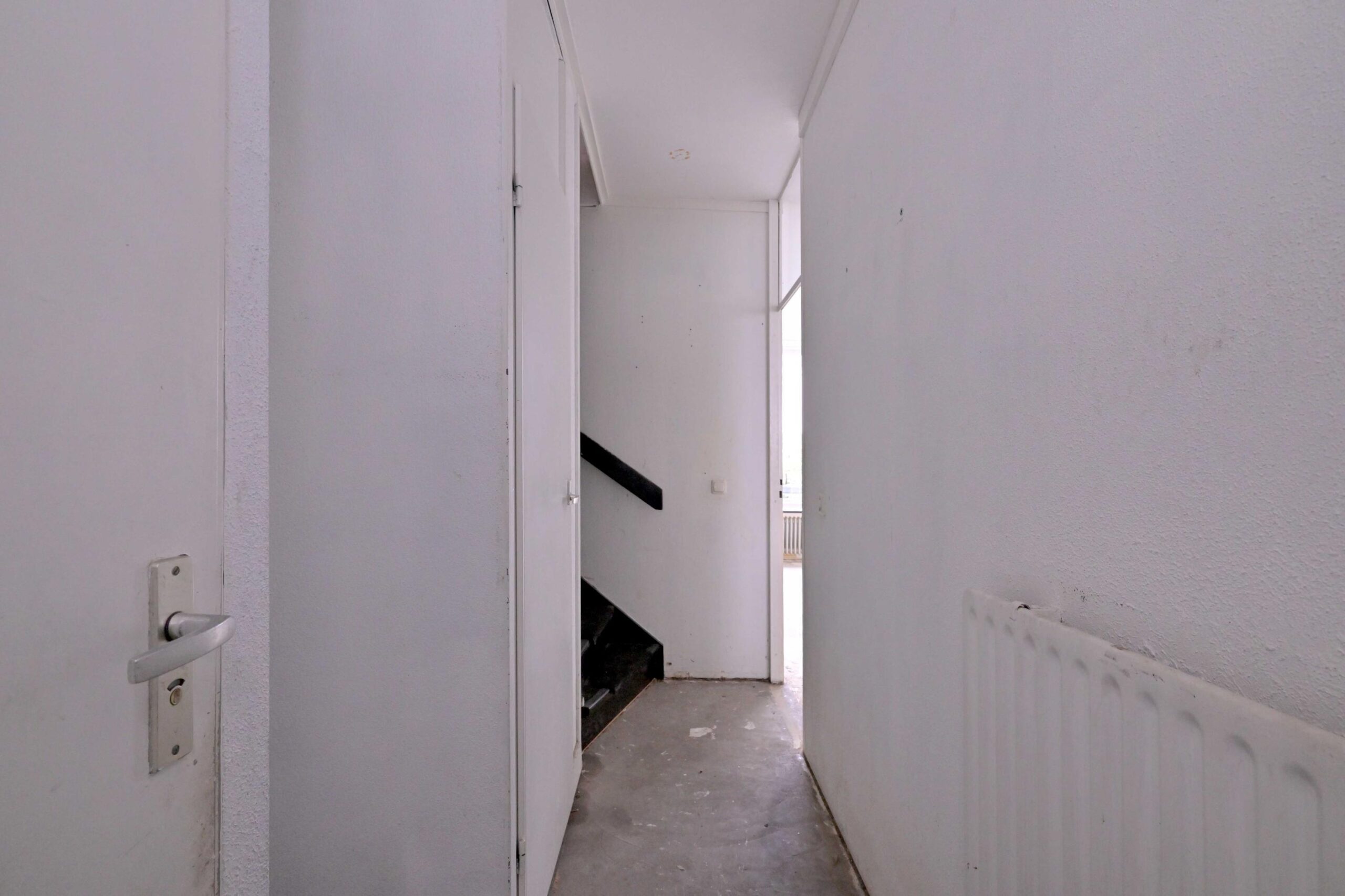 243298180.jpg