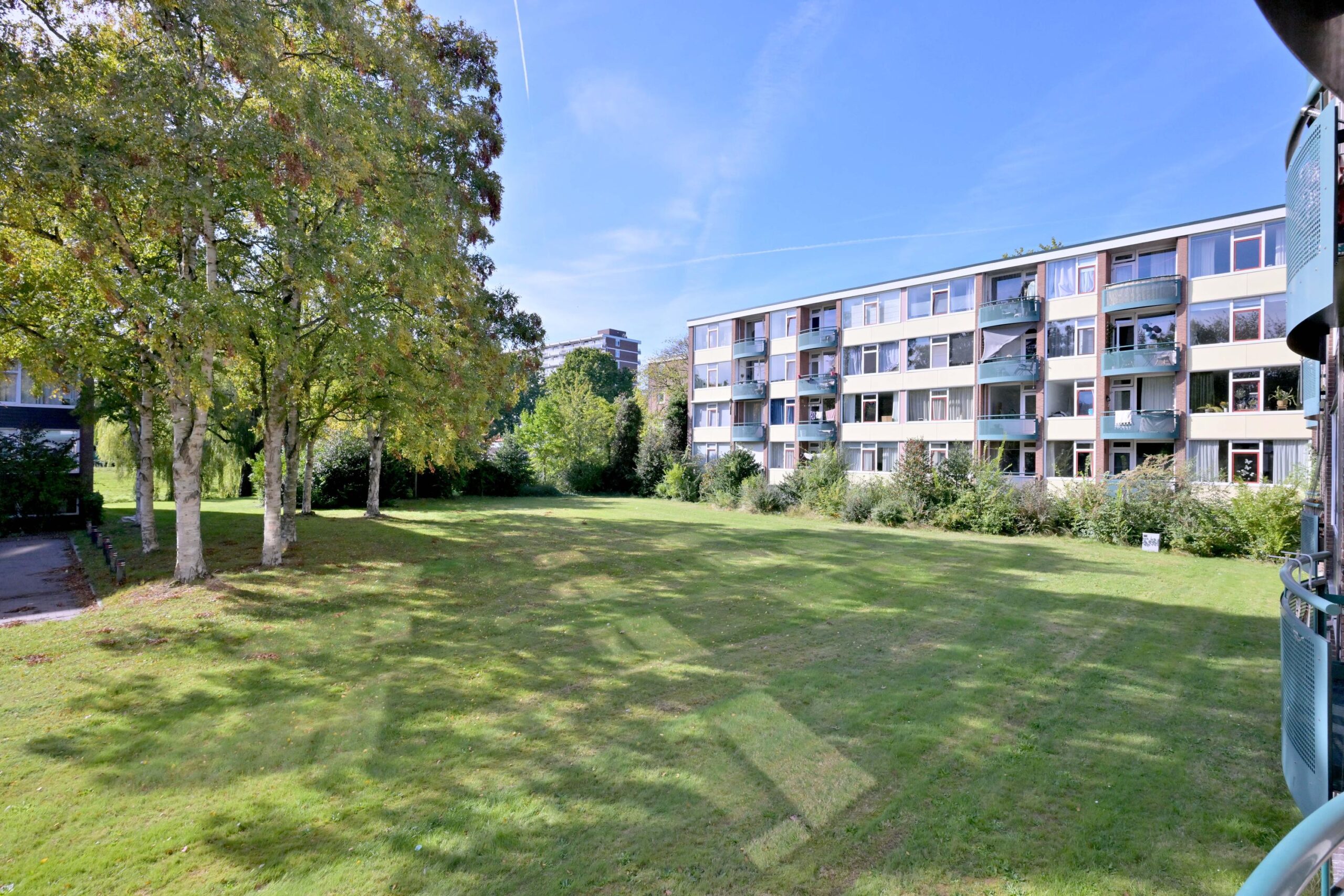 247729772.jpg