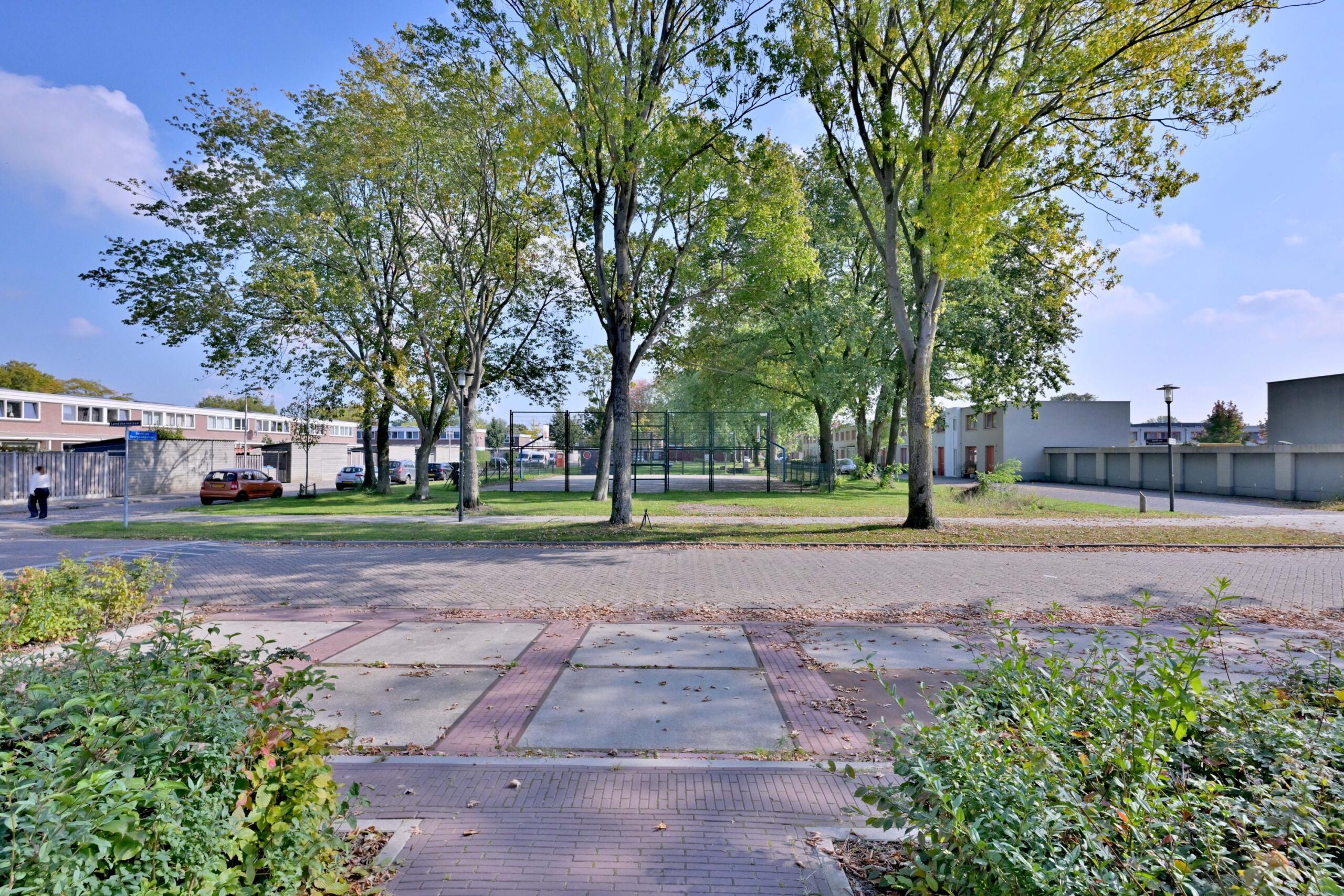 247896630.jpg