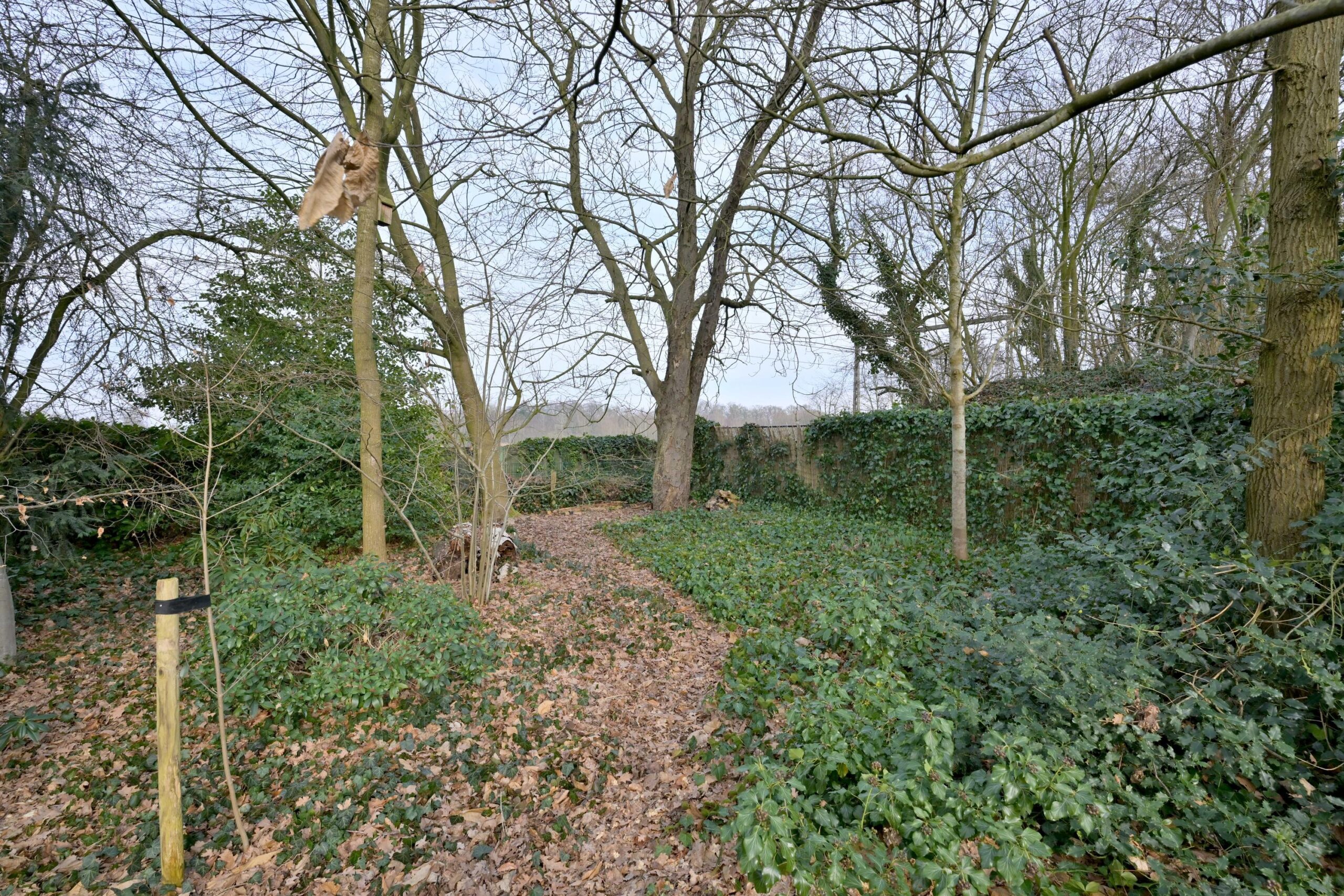 262347142.jpg
