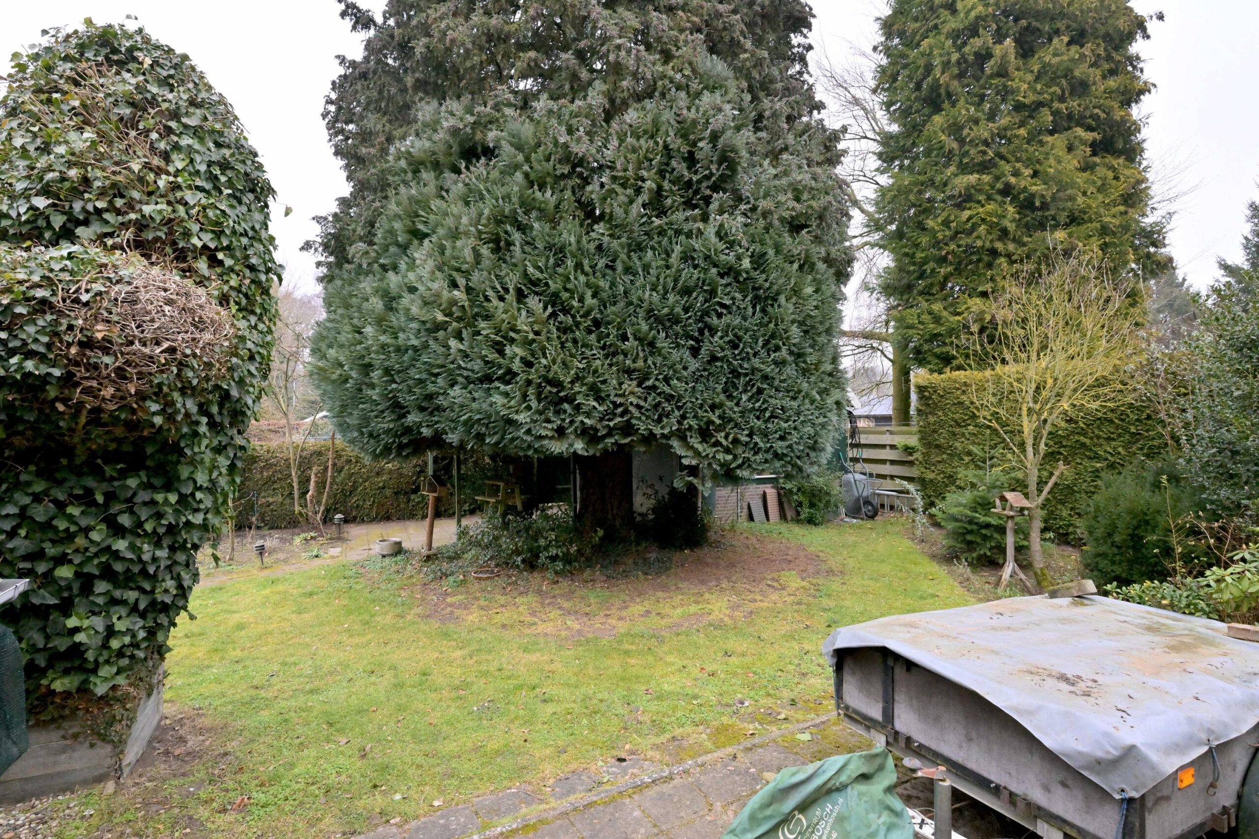 263737602.jpg
