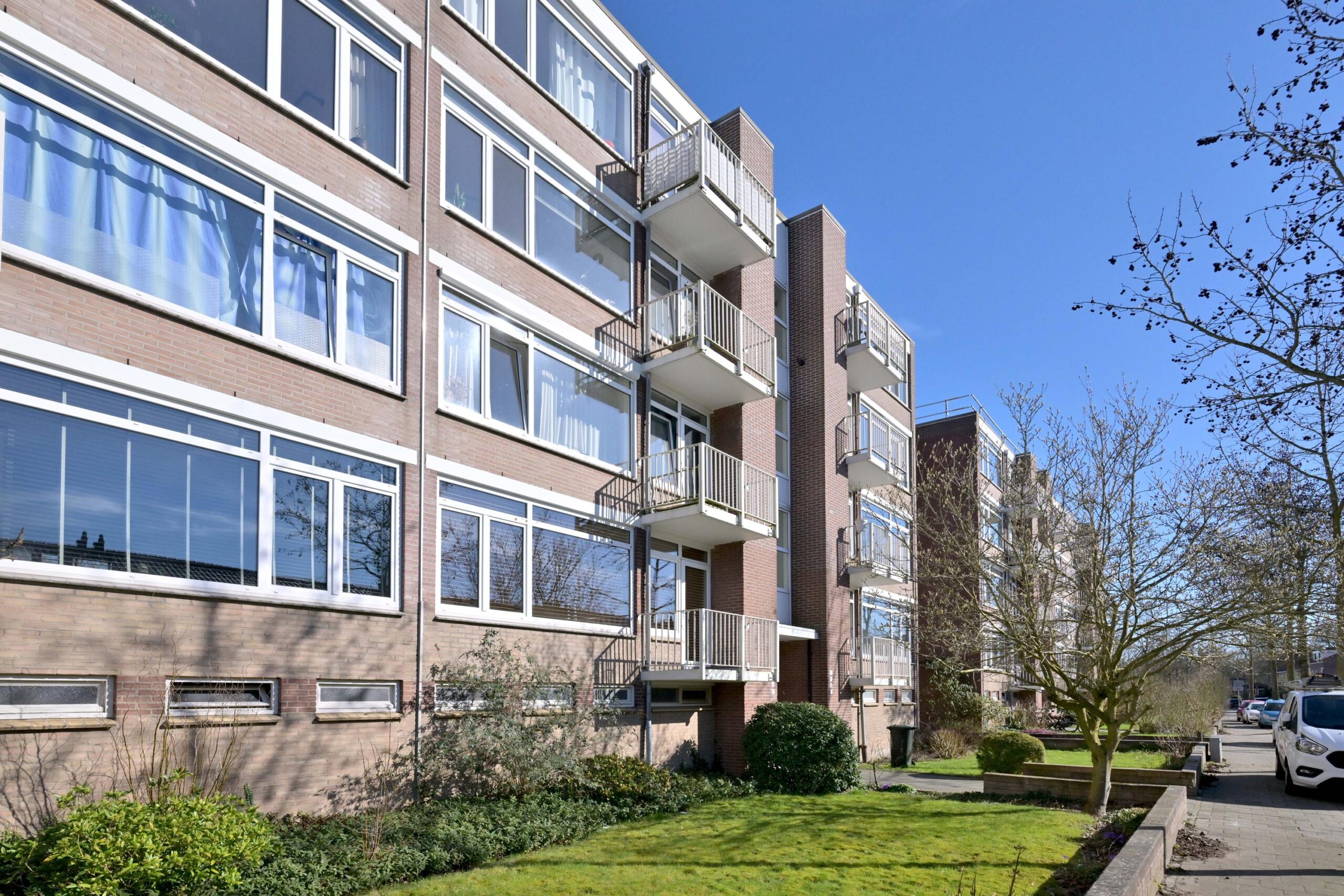 266339848.jpg