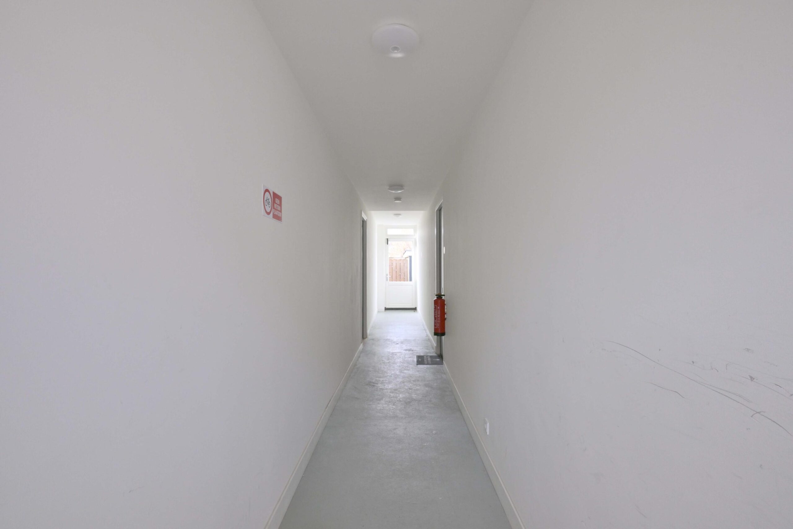 265818238.jpg