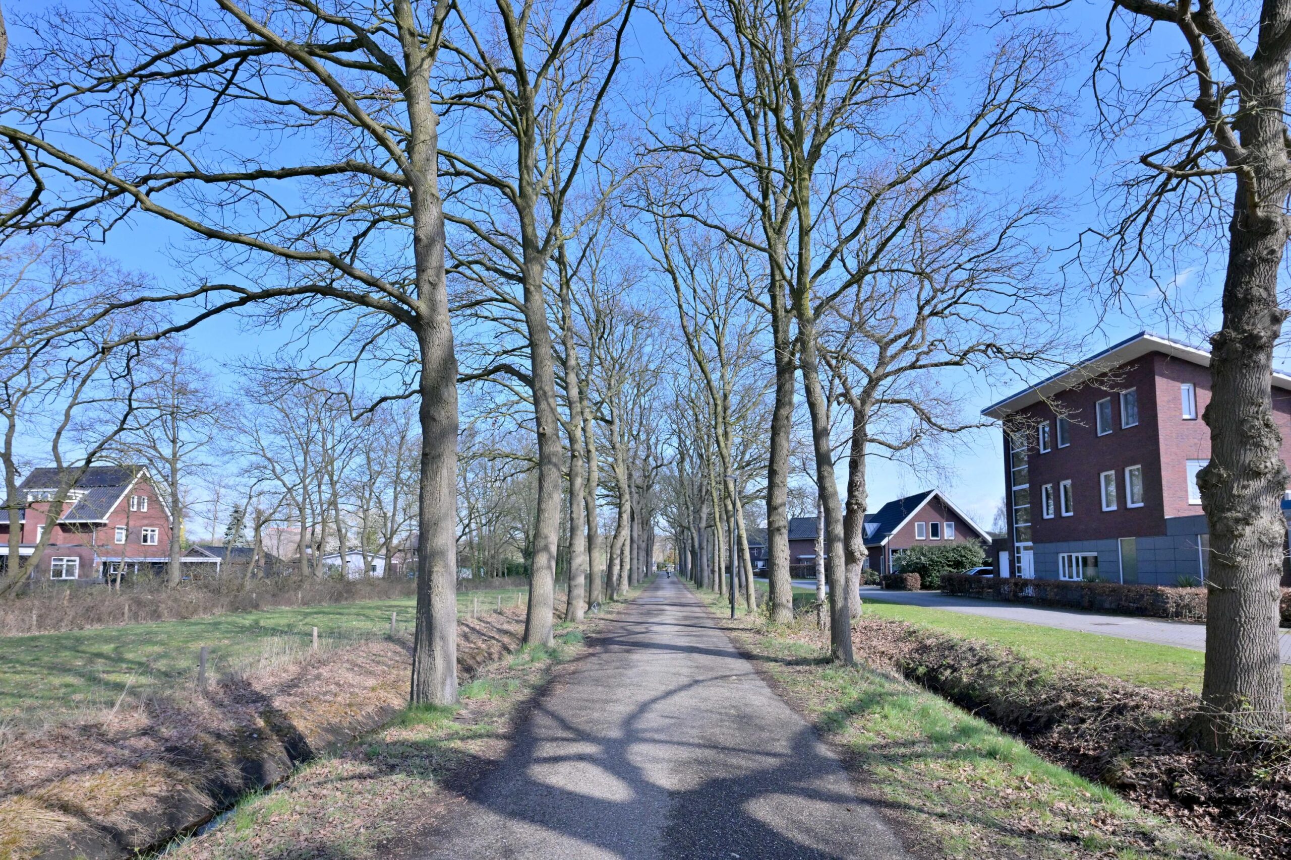 270164392.jpg