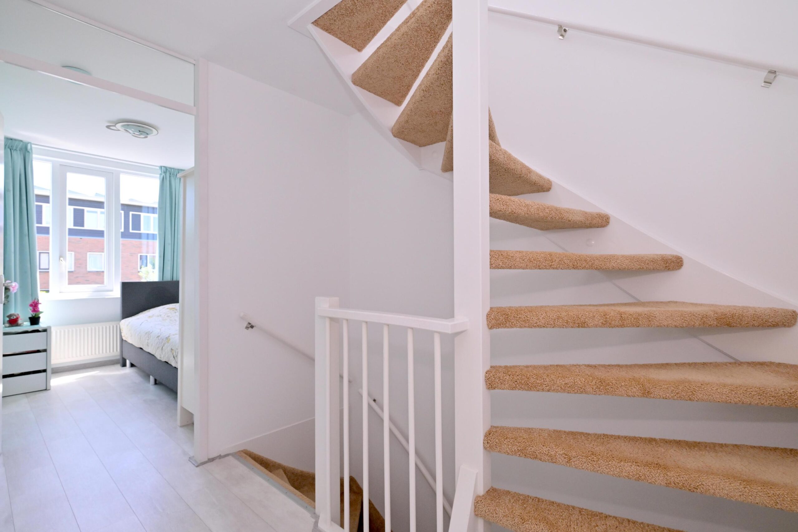 278498680.jpg