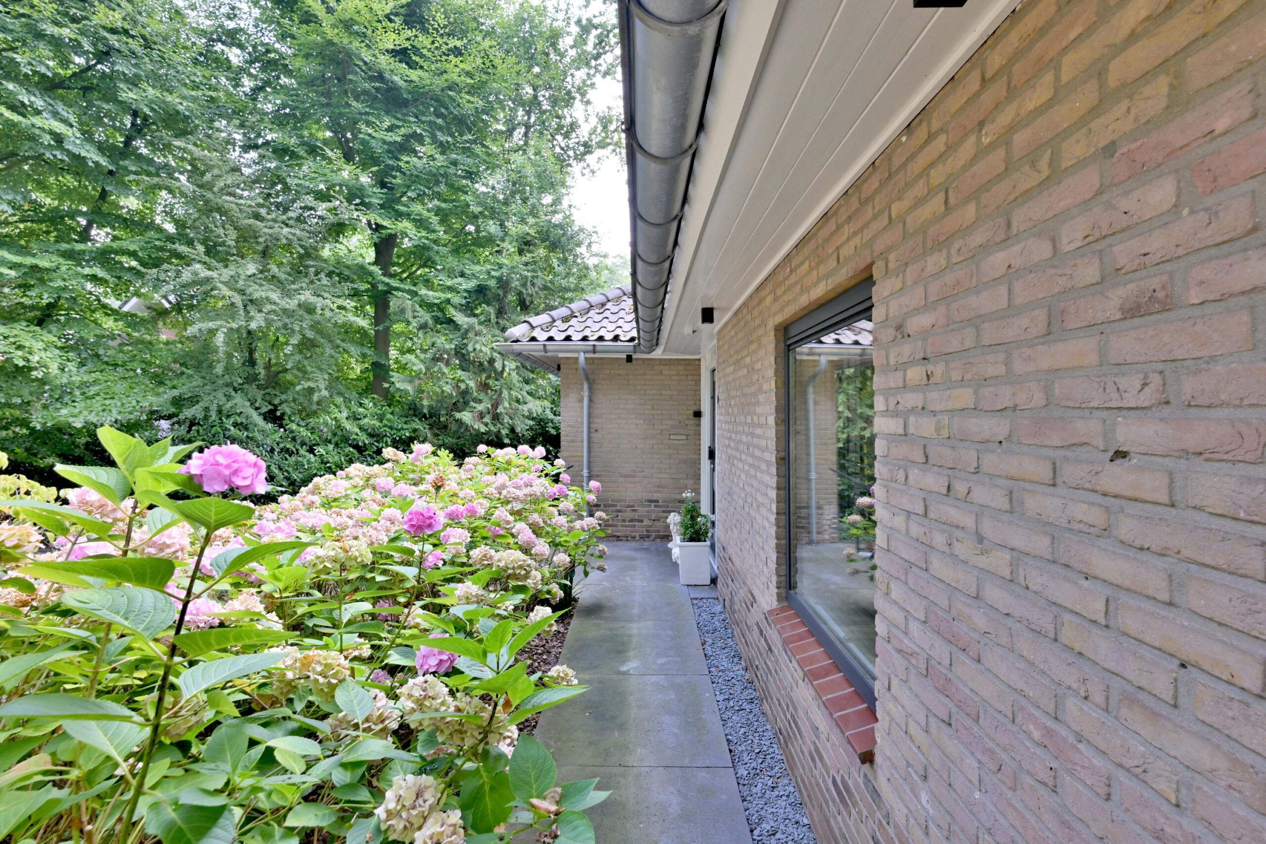 287202243.jpg