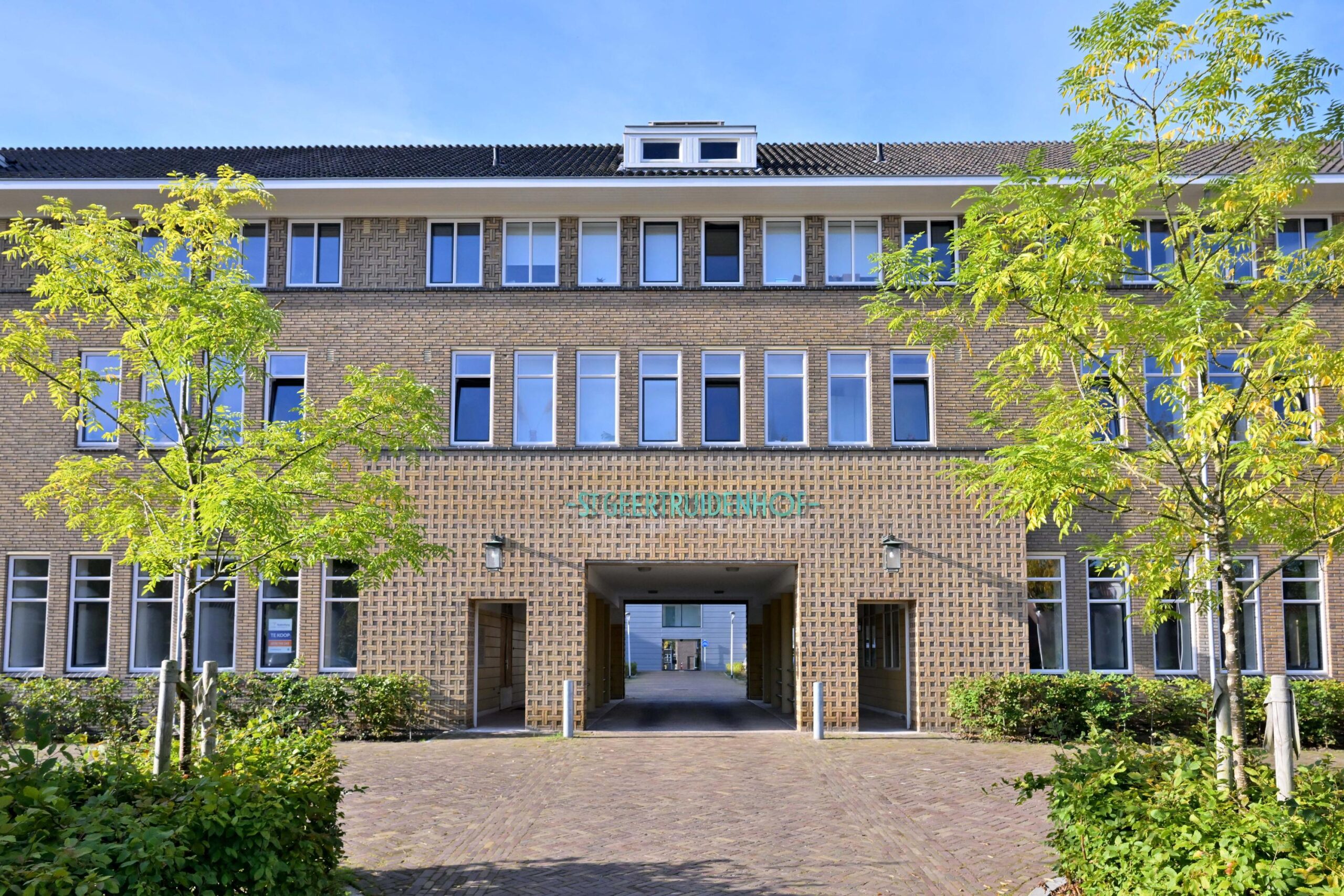 295663445.jpg