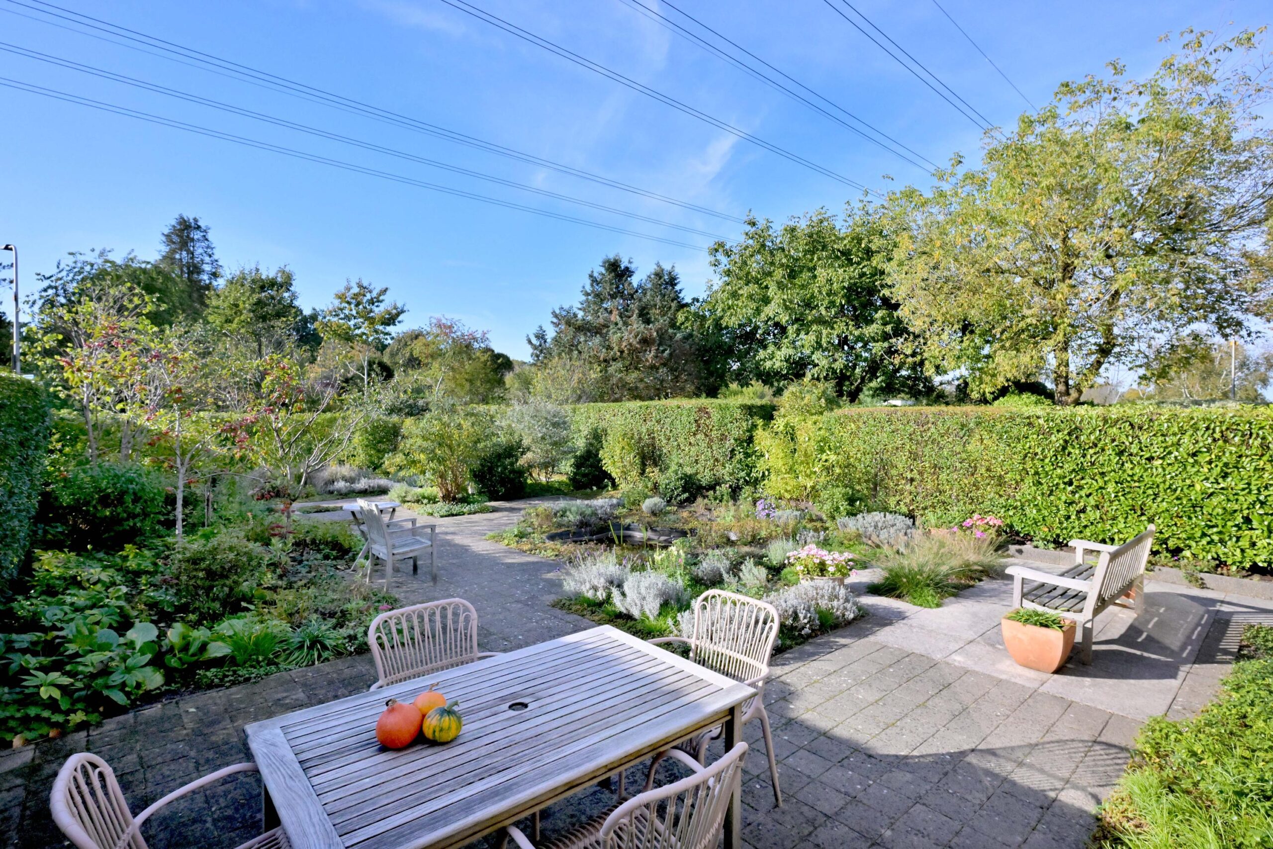 296989711.jpg