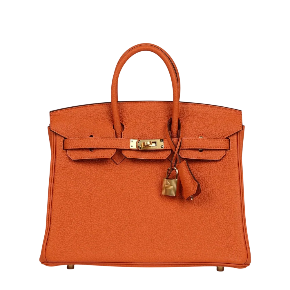 Hermès Birkin 25